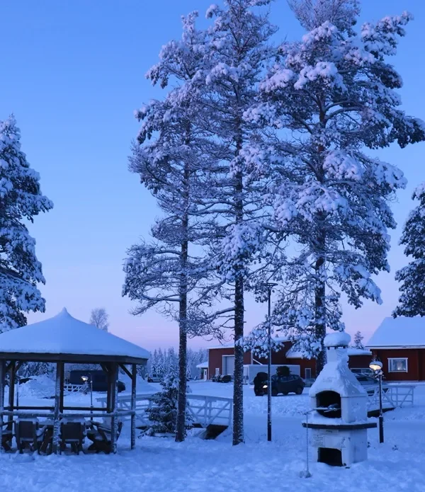 Fineland (2)